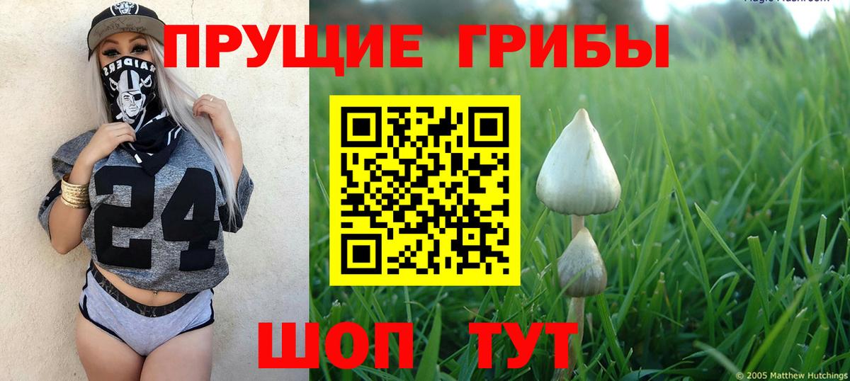 Псилоцибиновые грибы Psilocybine cubensis  Вход с VPN  Урус-Мартан 