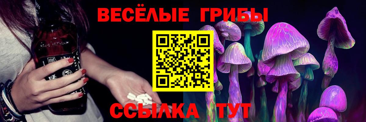 Галлюциногенные грибы мицелий Урус-Мартан